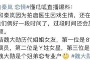 圈内人爆料魏大勋秦岚视频,圈内人爆料背后真相