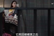 爆料小孩姐姐视频大全下载,小孩姐姐视频大全下载背后的真相